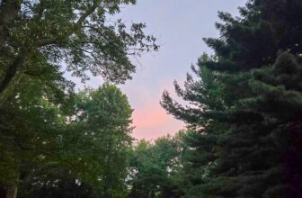 The Little Issues E-newsletter #484 – Life, laughter, and many nice meals!