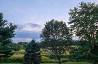 The Little Issues Publication #485 – Life, laughter, and plenty of nice meals!