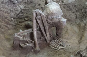 These Smoked Human Stays Stands out as the Oldest Mummies Identified to Science