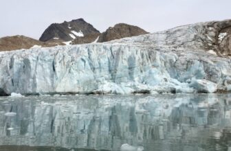 The Ocean Is a Carbon Rest room. Marine Warmth Waves Are Clogging It.