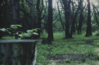 Hideo Kojima’s ‘P.T.’ Demo is Serving to Japanese Children Study English