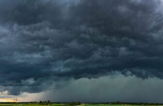 How you can Grow to be a Yard Meteorologist With a Few Easy Instruments