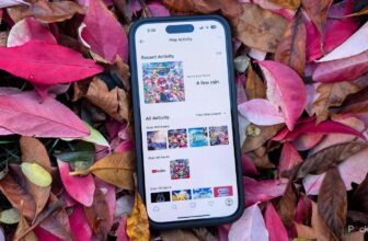 Nintendo simply quietly launched a enjoyable option to revisit your 3DS and Wii U days