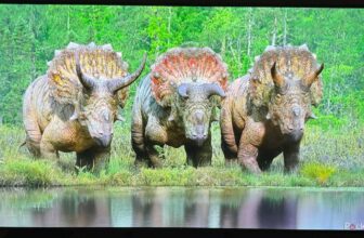 This LG TV is massive on vivid colours however lacks particulars in the dead of night